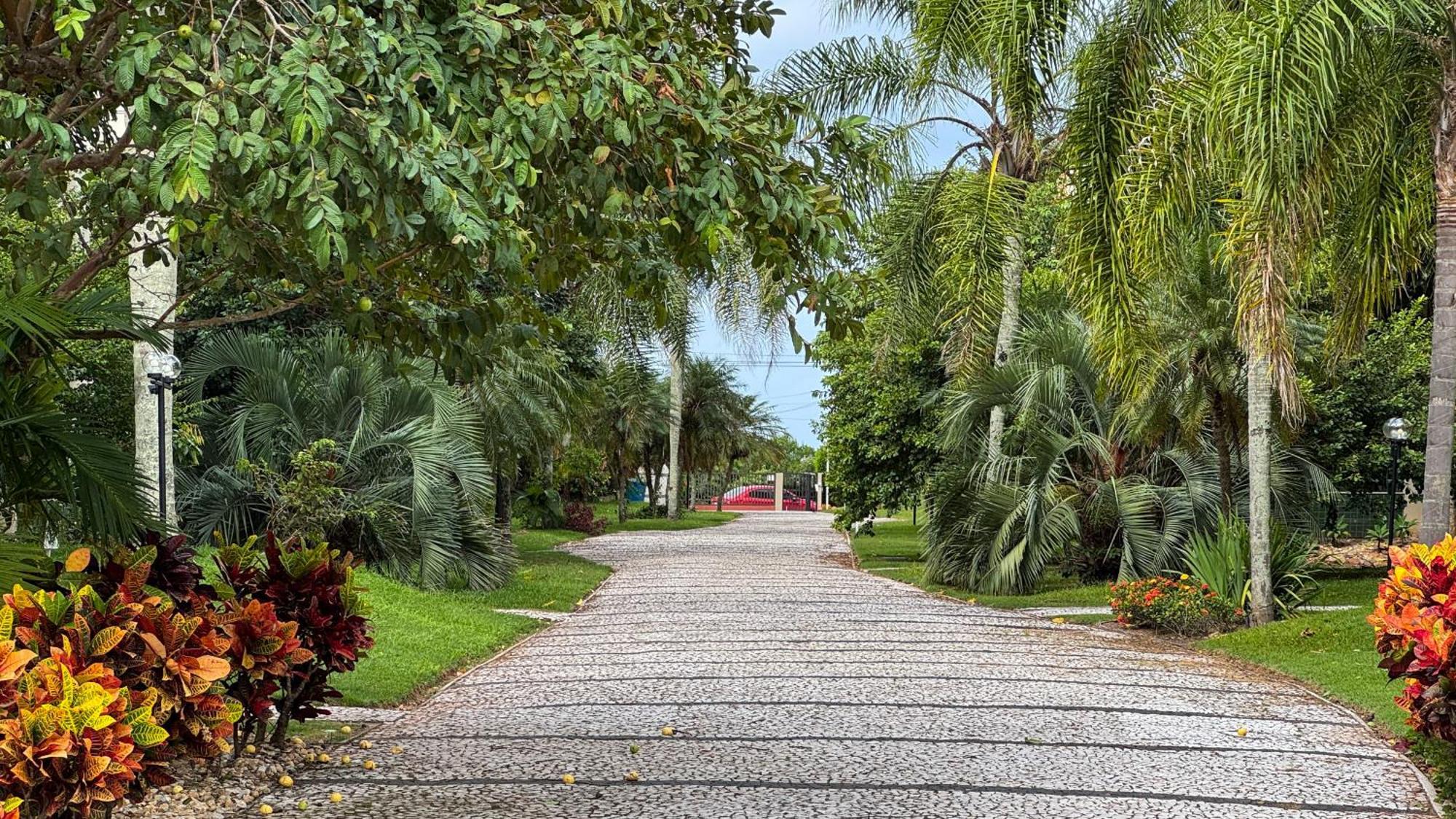 Apto Cond. Porto Ventura 3 Quartos Florianópolis Buitenkant foto